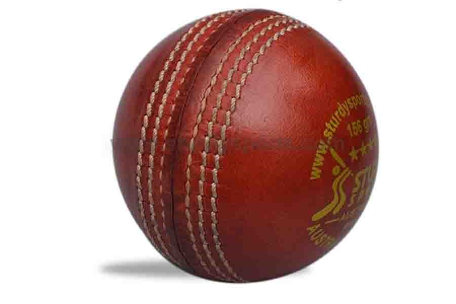 Cricket Ball Buying Guide