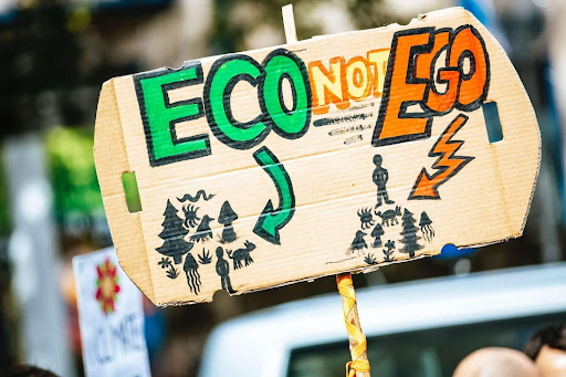 10 Ways to Go Eco-Friendly