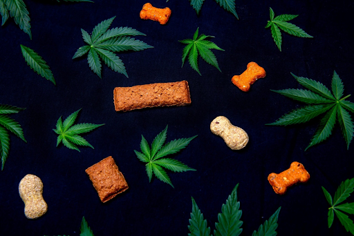 What Are The Benefits Of CBD Dog Treats?