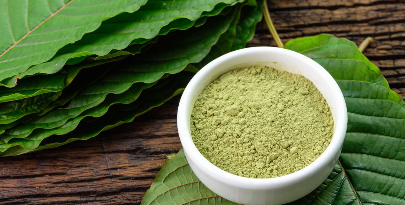What Are The Therapeutic Effects Of Green Kratom?