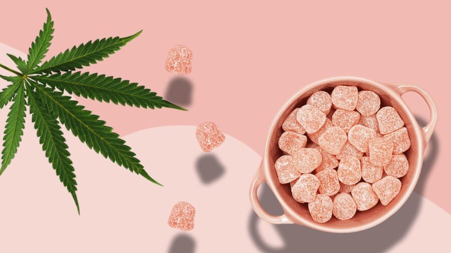 The CBD Gummies Industry Explained By 3 Top Insiders
