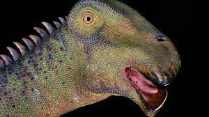 dinosaur with 500 teeth