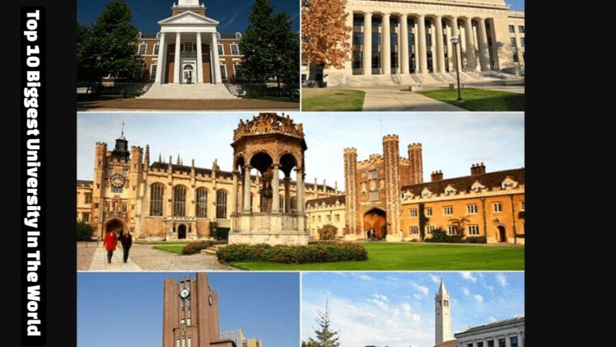 Top 10 Biggest University In The World