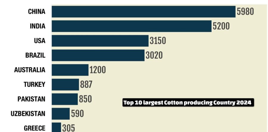 Top 10 largest Cotton producing Country