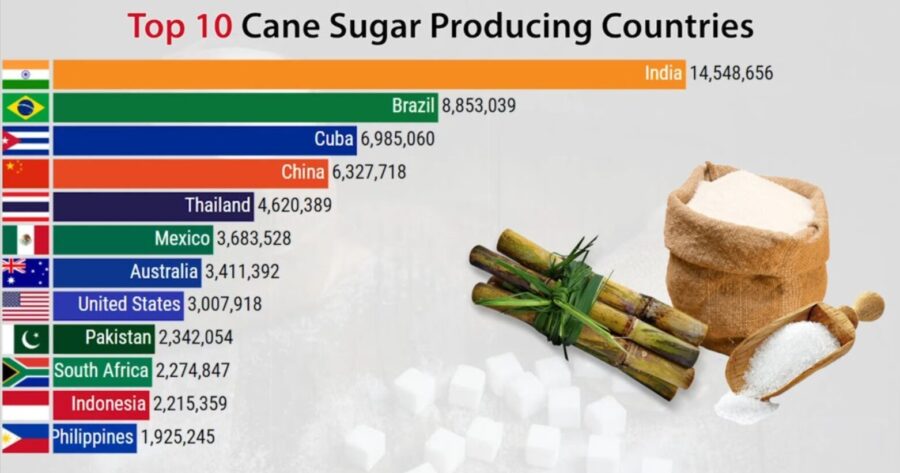 major producer of sugarcane