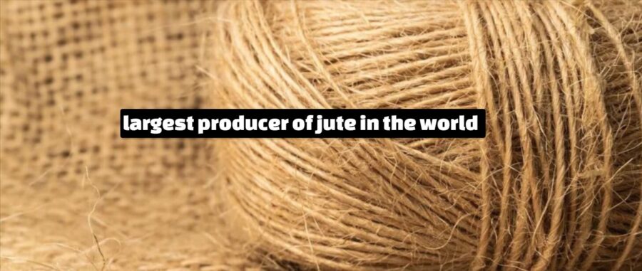 Largest Producer Of Jute In The World