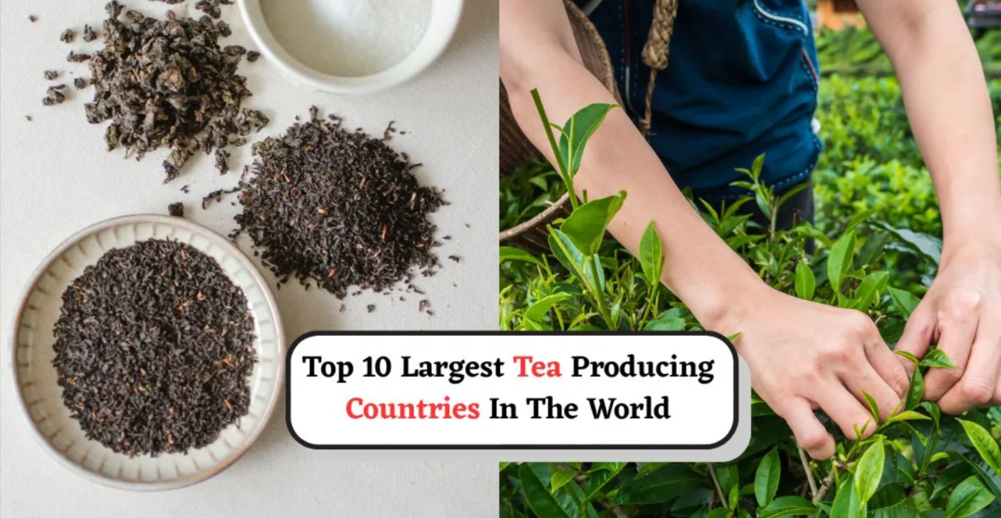 Highest Tea Producing Country
