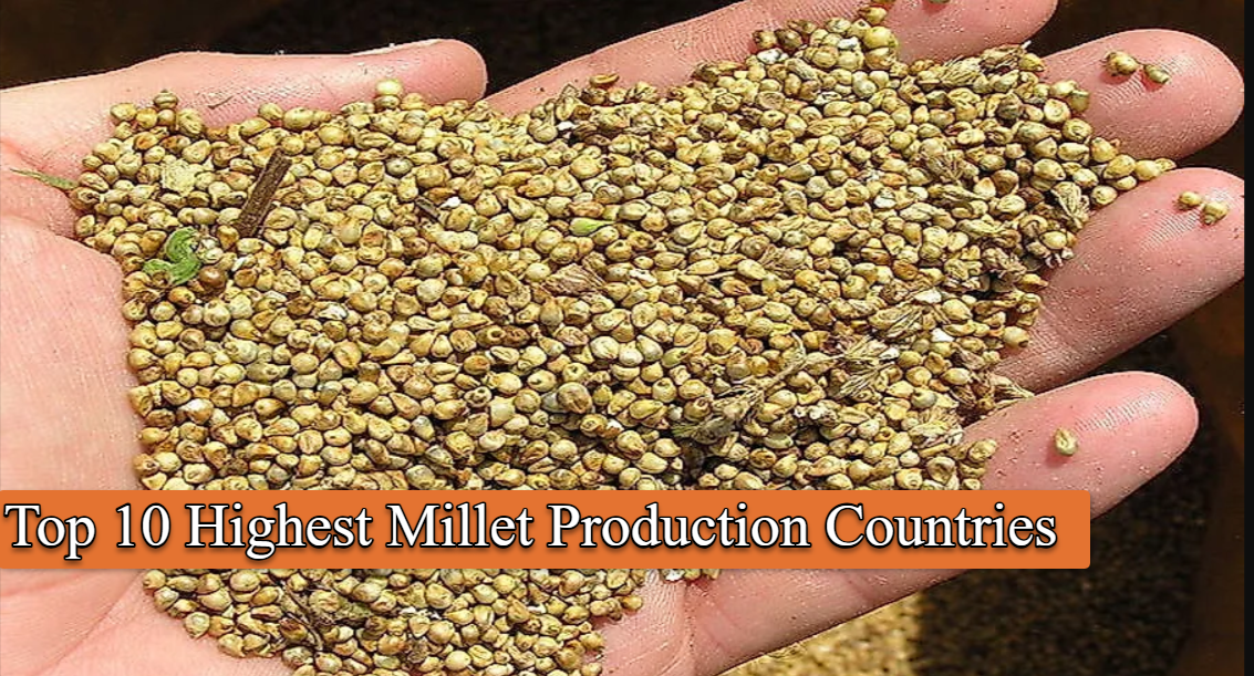 Top 10 Highest Millet Production Countries 