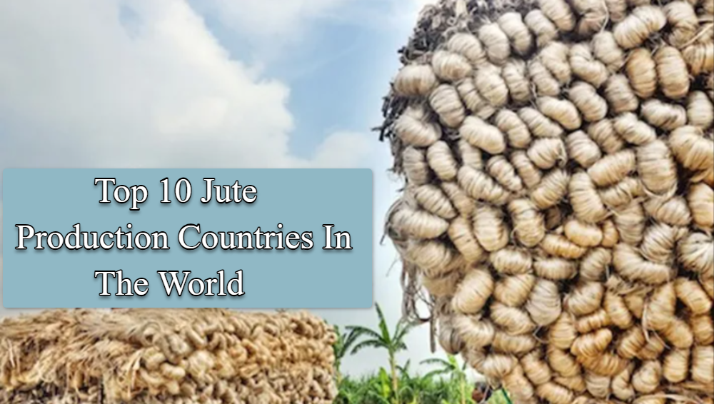 Top 10 Jute Production Countries In The World